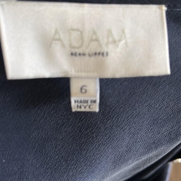 Adam Adam Lippes washed silk Sheath Dress sz 6 - Picture 4 of 4